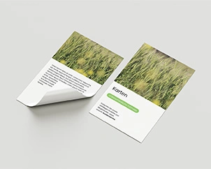 Zwei Flyer liegend nebeneinander