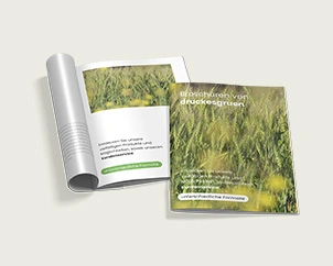 Aufgeschlagene und geschlossene Broschüre im Hochformat