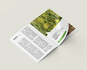 Aufgeschlagene Broschüre im Hochformat