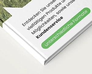 Nahaufnahme von einem Buchrücken