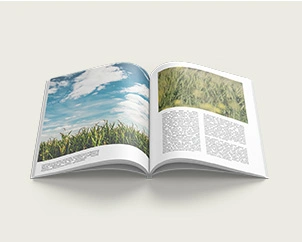 Aufgeschlagene Klebebindung mit Softcover im Hochformat