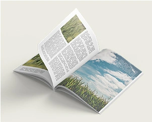 Aufgeschlagene Klebebindung mit Softcover im Hochformat